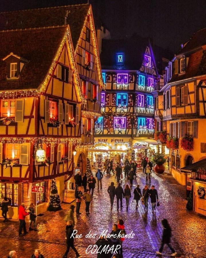 Gite Cote Cour Colmar Buitenkant foto